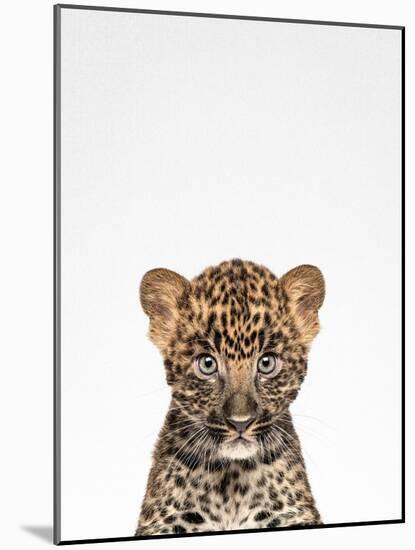 Leopard-Tai Prints-Mounted Photographic Print