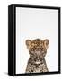 Leopard-Tai Prints-Framed Stretched Canvas