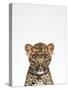 Leopard-Tai Prints-Stretched Canvas