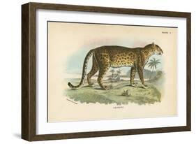 Leopard-English School-Framed Giclee Print