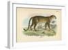 Leopard-English School-Framed Giclee Print