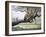 Leopard-Harro Maass-Framed Giclee Print