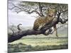 Leopard-Harro Maass-Mounted Giclee Print