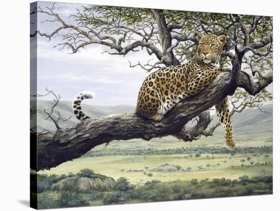 Leopard-Harro Maass-Stretched Canvas