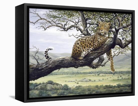 Leopard-Harro Maass-Framed Stretched Canvas