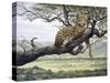 Leopard-Harro Maass-Stretched Canvas