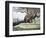 Leopard-Harro Maass-Framed Premium Giclee Print