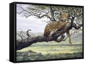 Leopard-Harro Maass-Framed Stretched Canvas