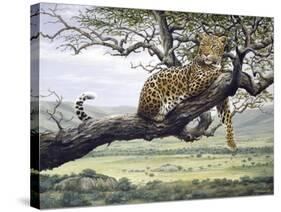 Leopard-Harro Maass-Stretched Canvas