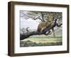 Leopard-Harro Maass-Framed Giclee Print