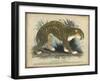 Leopard-null-Framed Art Print