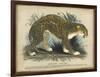 Leopard-null-Framed Art Print