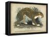 Leopard-null-Framed Stretched Canvas