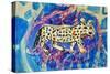 Leopard-Brenda Brin Booker-Stretched Canvas