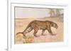 Leopard-null-Framed Art Print