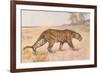 Leopard-null-Framed Art Print