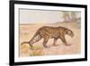 Leopard-null-Framed Art Print