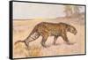 Leopard-null-Framed Stretched Canvas