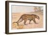 Leopard-null-Framed Art Print