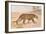 Leopard-null-Framed Art Print