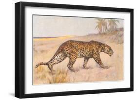 Leopard-null-Framed Art Print