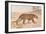 Leopard-null-Framed Art Print