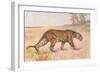 Leopard-null-Framed Art Print