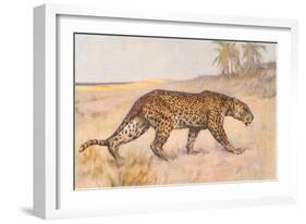 Leopard-null-Framed Art Print