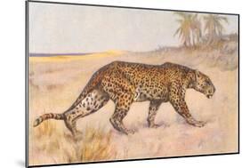 Leopard-null-Mounted Art Print