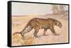Leopard-null-Framed Stretched Canvas
