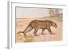 Leopard-null-Framed Art Print