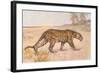 Leopard-null-Framed Art Print