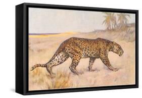 Leopard-null-Framed Stretched Canvas