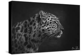 Leopard-5fishcreative-Stretched Canvas