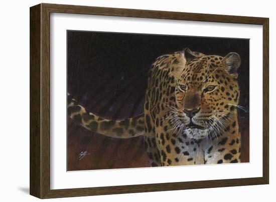 Leopard-Durwood Coffey-Framed Giclee Print