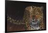 Leopard-Durwood Coffey-Framed Giclee Print