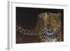 Leopard-Durwood Coffey-Framed Giclee Print