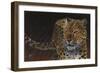 Leopard-Durwood Coffey-Framed Premium Giclee Print