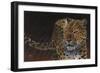 Leopard-Durwood Coffey-Framed Premium Giclee Print