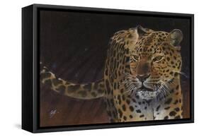 Leopard-Durwood Coffey-Framed Stretched Canvas