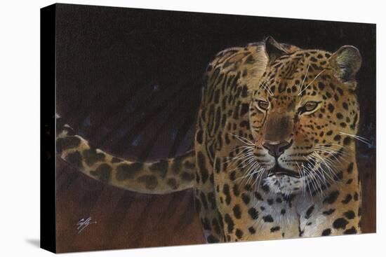 Leopard-Durwood Coffey-Stretched Canvas