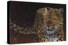 Leopard-Durwood Coffey-Stretched Canvas