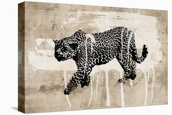 Leopard-Erin Clark-Stretched Canvas