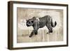 Leopard-Erin Clark-Framed Giclee Print