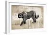 Leopard-Erin Clark-Framed Giclee Print