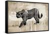 Leopard-Erin Clark-Framed Stretched Canvas