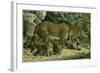 Leopard-null-Framed Giclee Print