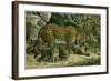 Leopard-null-Framed Giclee Print