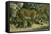 Leopard-null-Framed Stretched Canvas