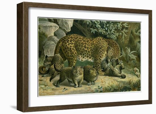 Leopard-null-Framed Giclee Print